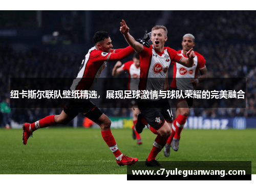 纽卡斯尔联队壁纸精选，展现足球激情与球队荣耀的完美融合