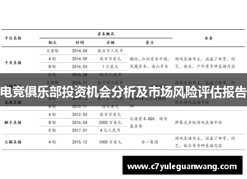 电竞俱乐部投资机会分析及市场风险评估报告