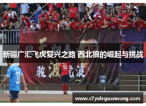 新疆广汇飞虎复兴之路 西北狼的崛起与挑战